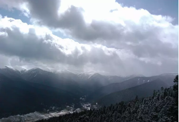 1573700839160891.png 鲁朗林海.png